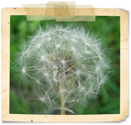 Angel Hartline Designs