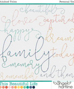 This Beautiful Life [Stitched Titles]