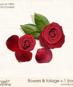 Flowers & Foliage V. 1 [roses]