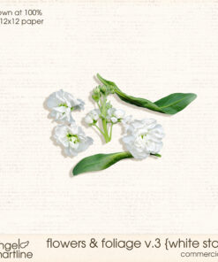 Flowers & Foliage V. 3 [white stock]