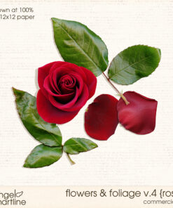 Flowers & Foliage V. 4 [roses]