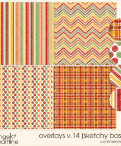 Overlays v. 14 [Sketchy Basics]