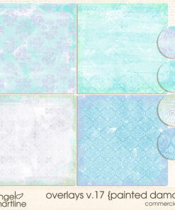 Overlays v. 17 [Painted Damask]
