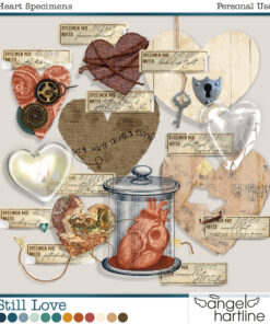 Still Love [Heart Specimens]